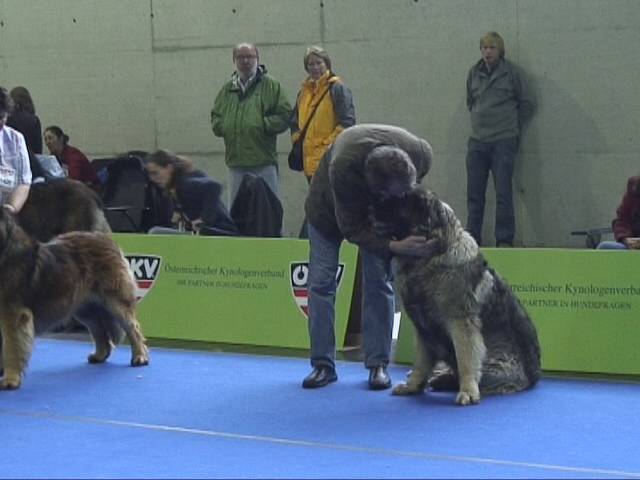 Salzburg Clubschau Mai 06 089 